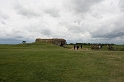 normandia 371